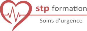 Logo de STP Formation demo